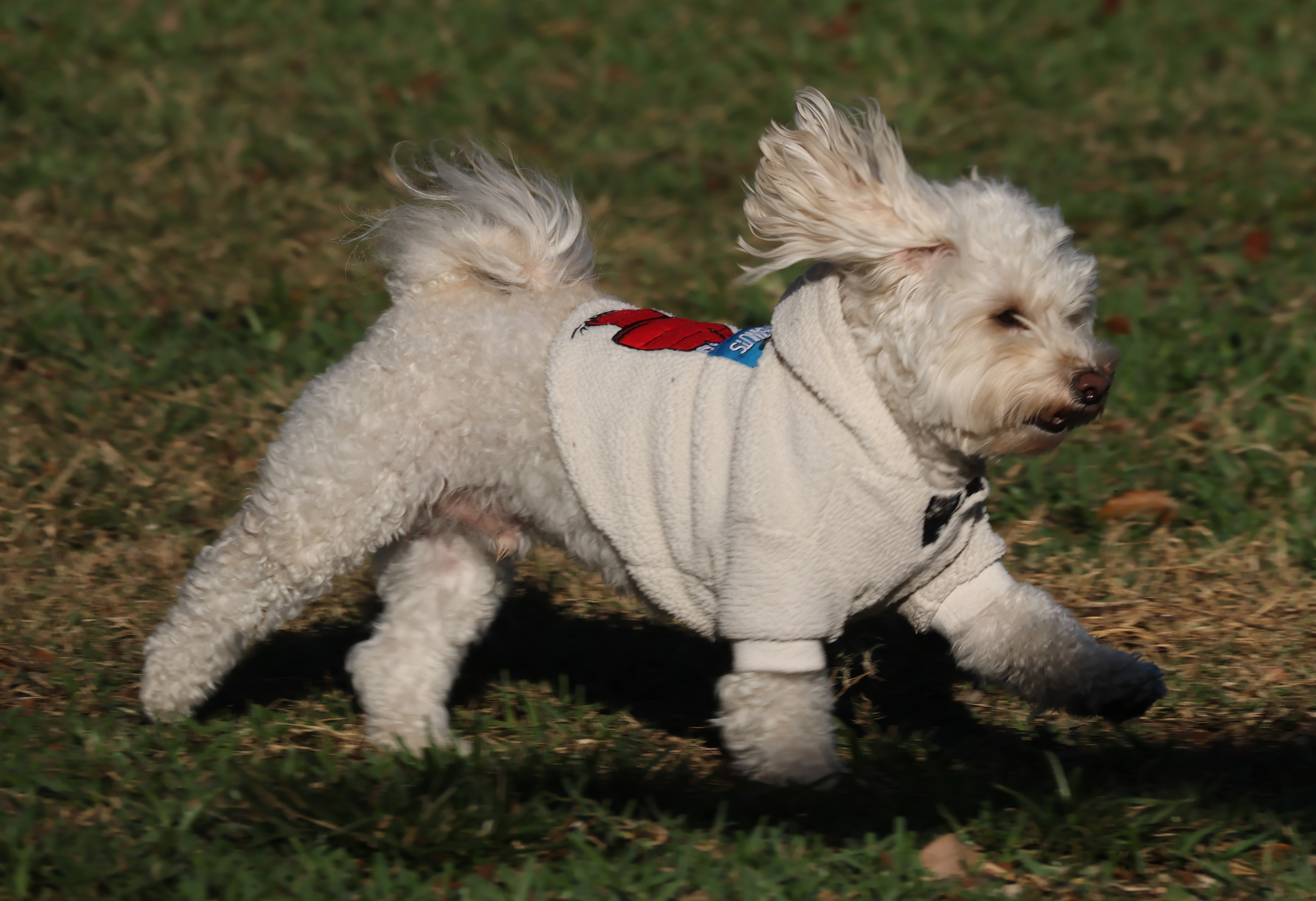 Pompano Beach â It's doggone cold in South Florida, and...