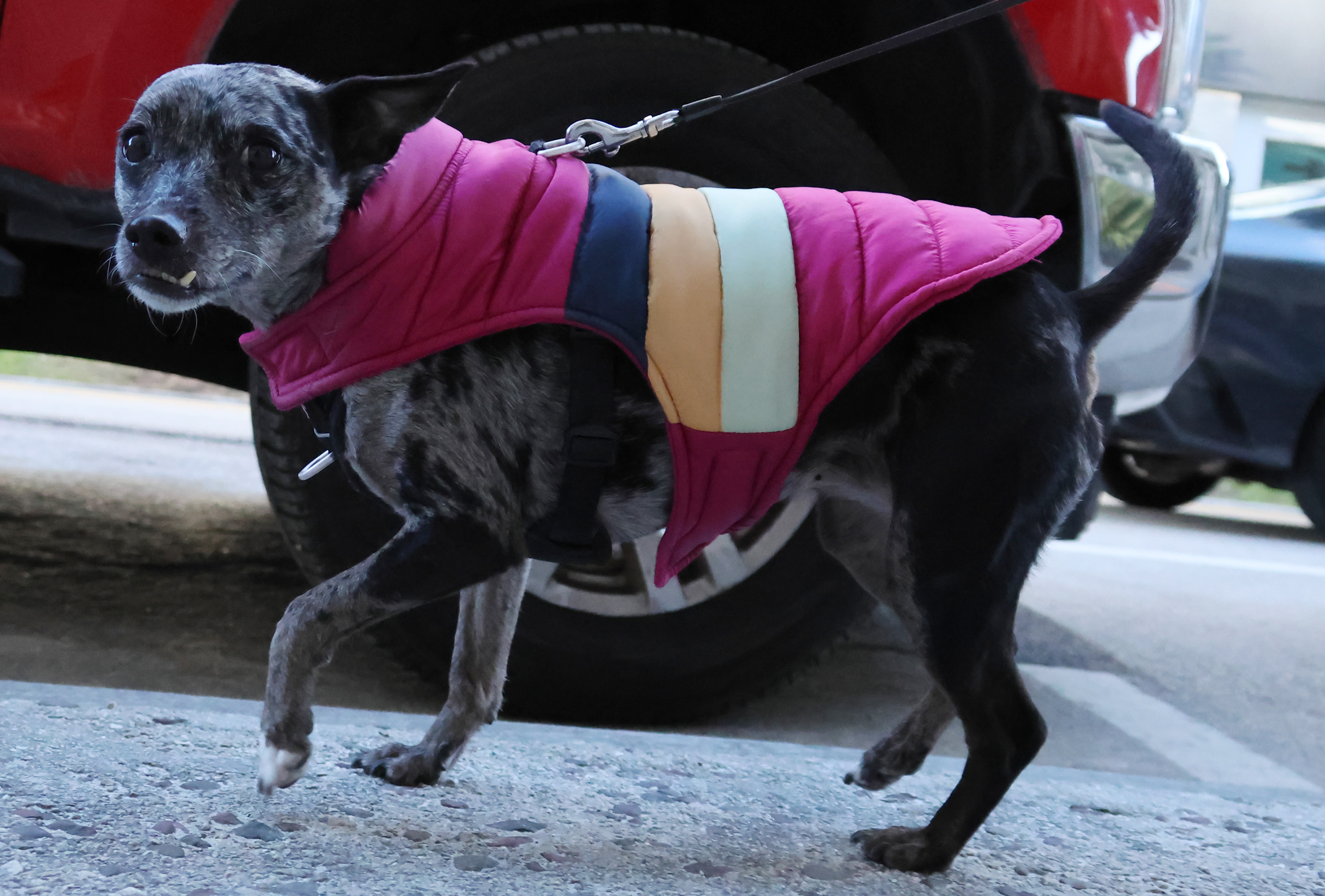 Las Olas, Fort Lauderdale â It's doggone cold in South...