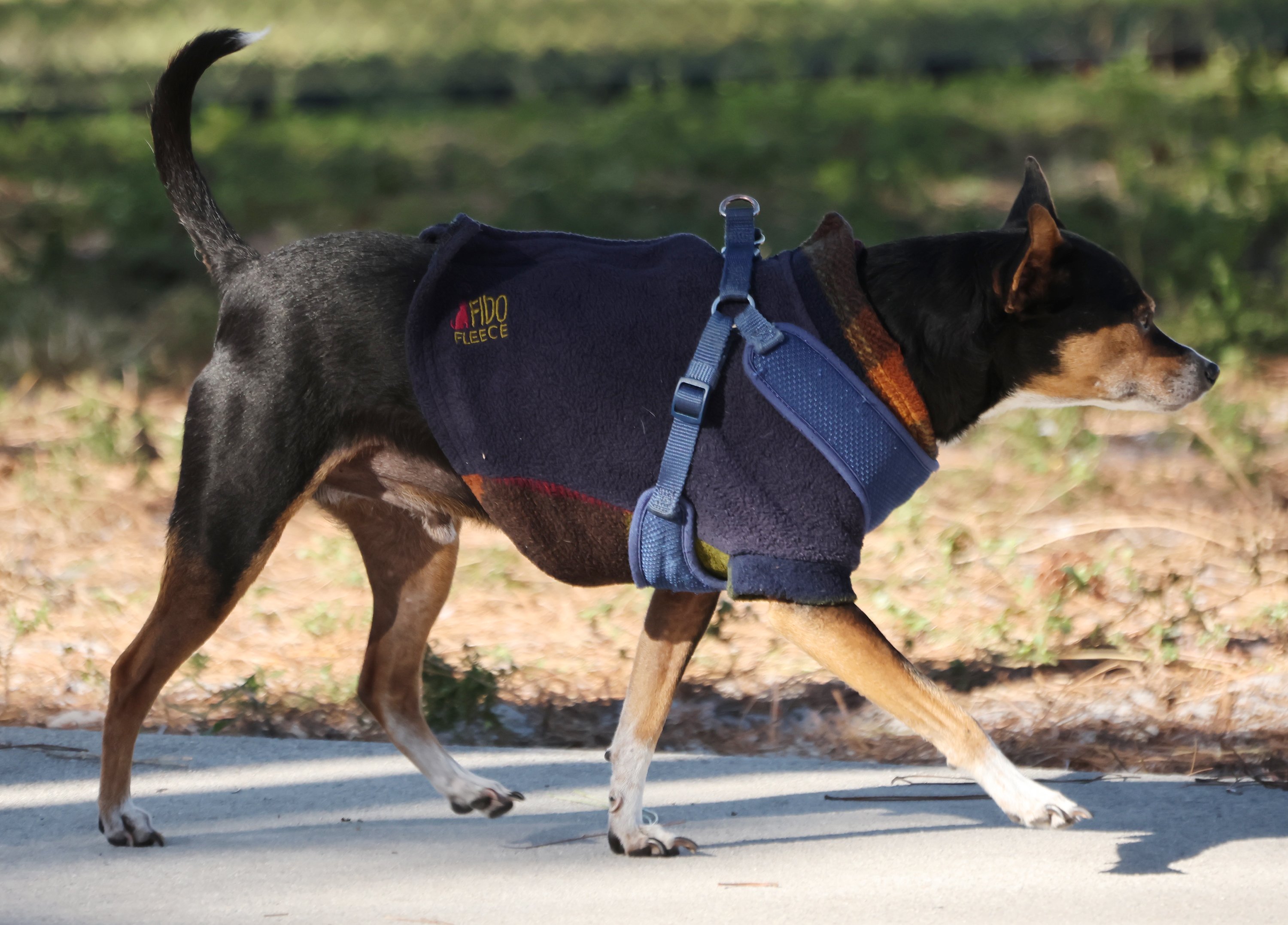 Holiday Park, Fort Lauderdale â It's doggone cold in South...