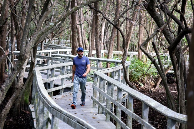 Rene Torres, of Sunrise, walks a trail at Secret Woods Nature Center in Fort Lauderdale, Friday, Jan. 9, 2026. Torres, who works nearby, says his daily walk provides a mental "restart." (Carline Jean/South Florida Sun Sentinel)