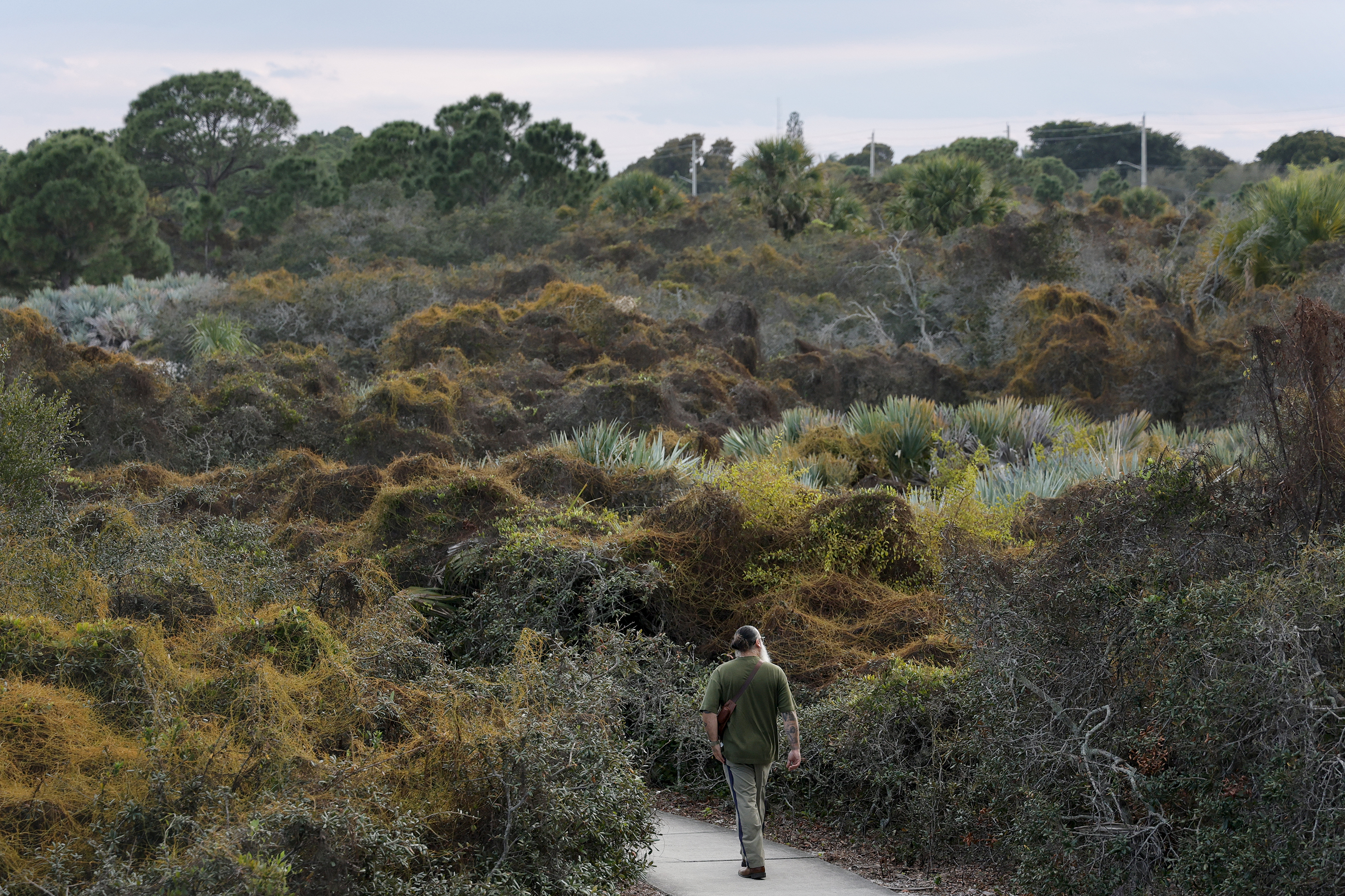 The Hypoluxo Scrub Natural Area in Hypoluxo includes a quarter-mile...
