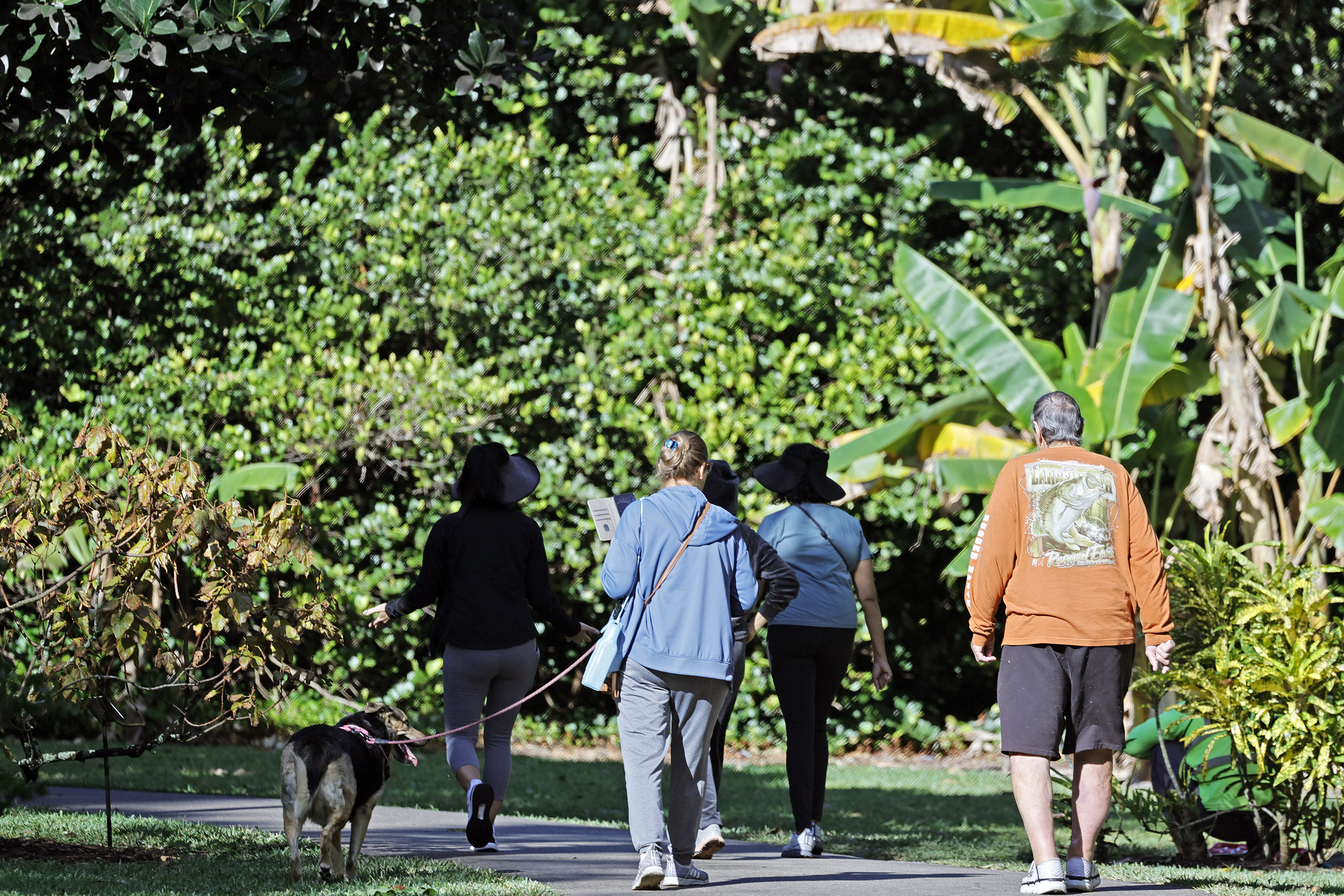 Pedestrians walk the paths at the Deerfield Beach Arboretum on...