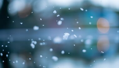 Snow flurries seen from Tampa to Tallahassee as extreme cold hits Florida – NBC 6 South Florida