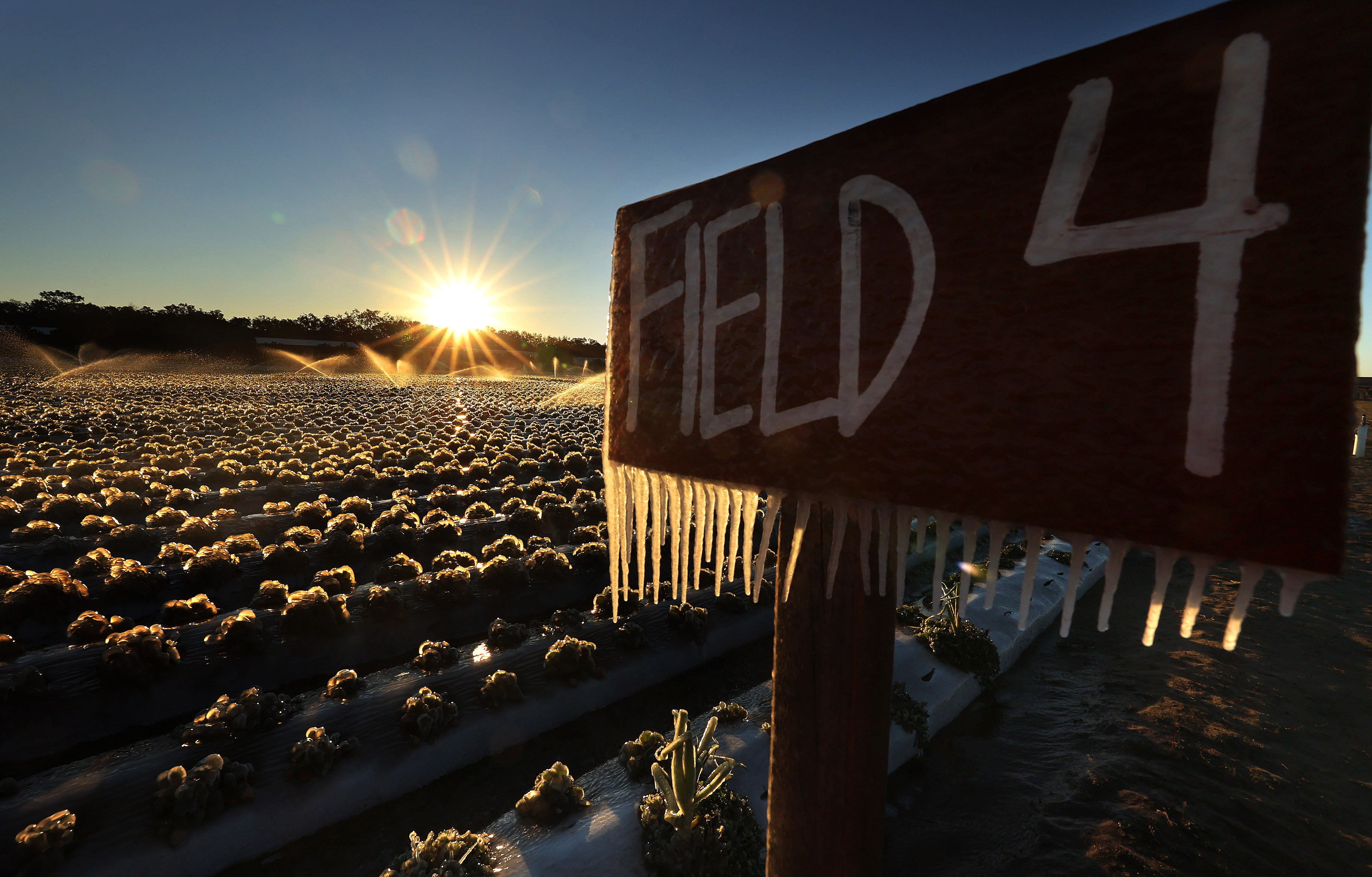 Icicles hang from a sign as the sun rises, with...