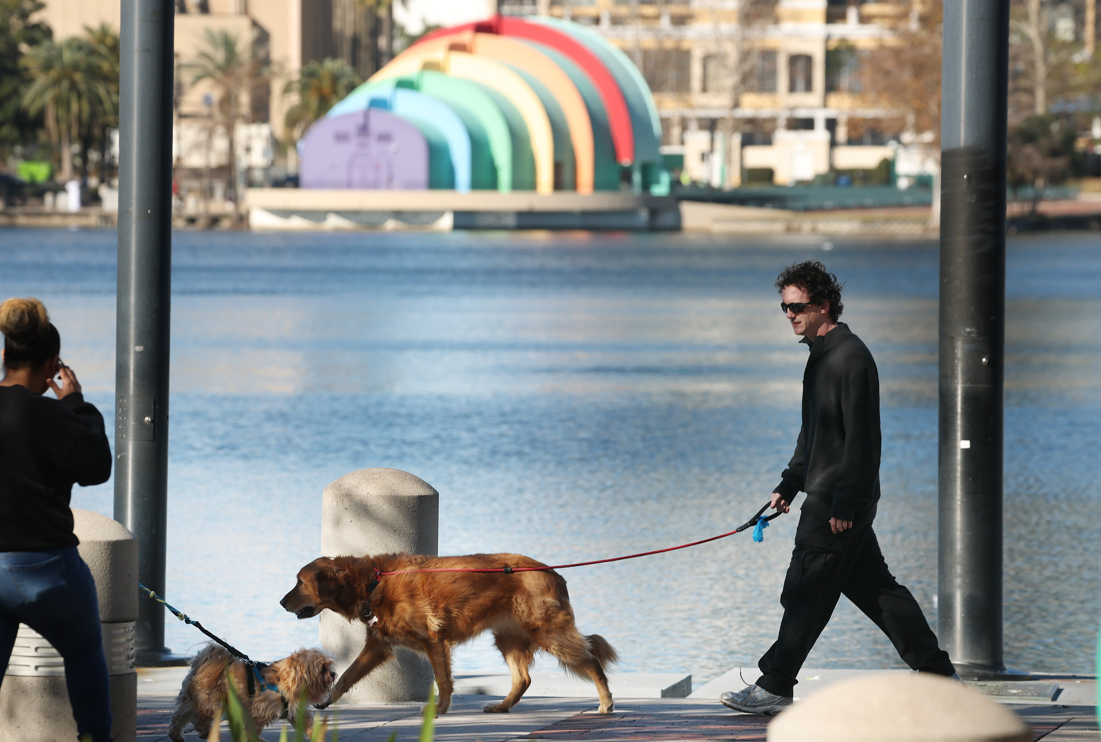 Pet lovers walk their dogs during the Paws in the...