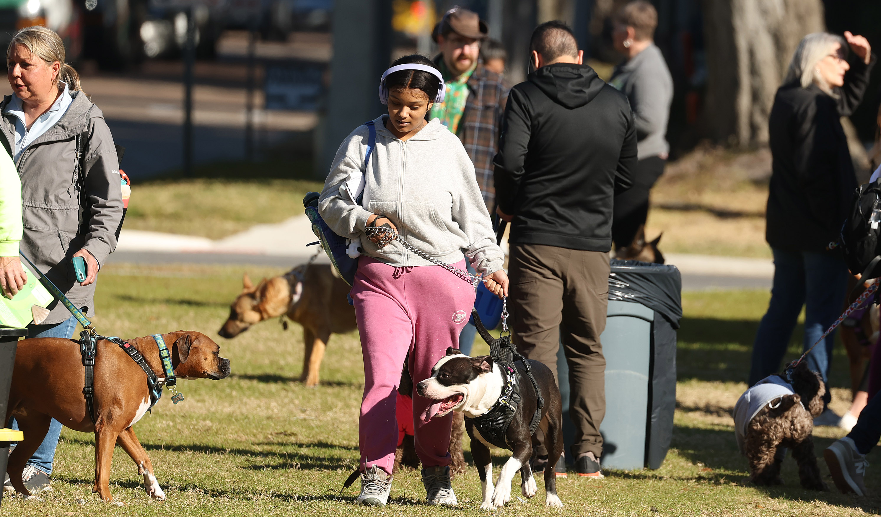 Dog lovers and their pets gather during the Paws in...
