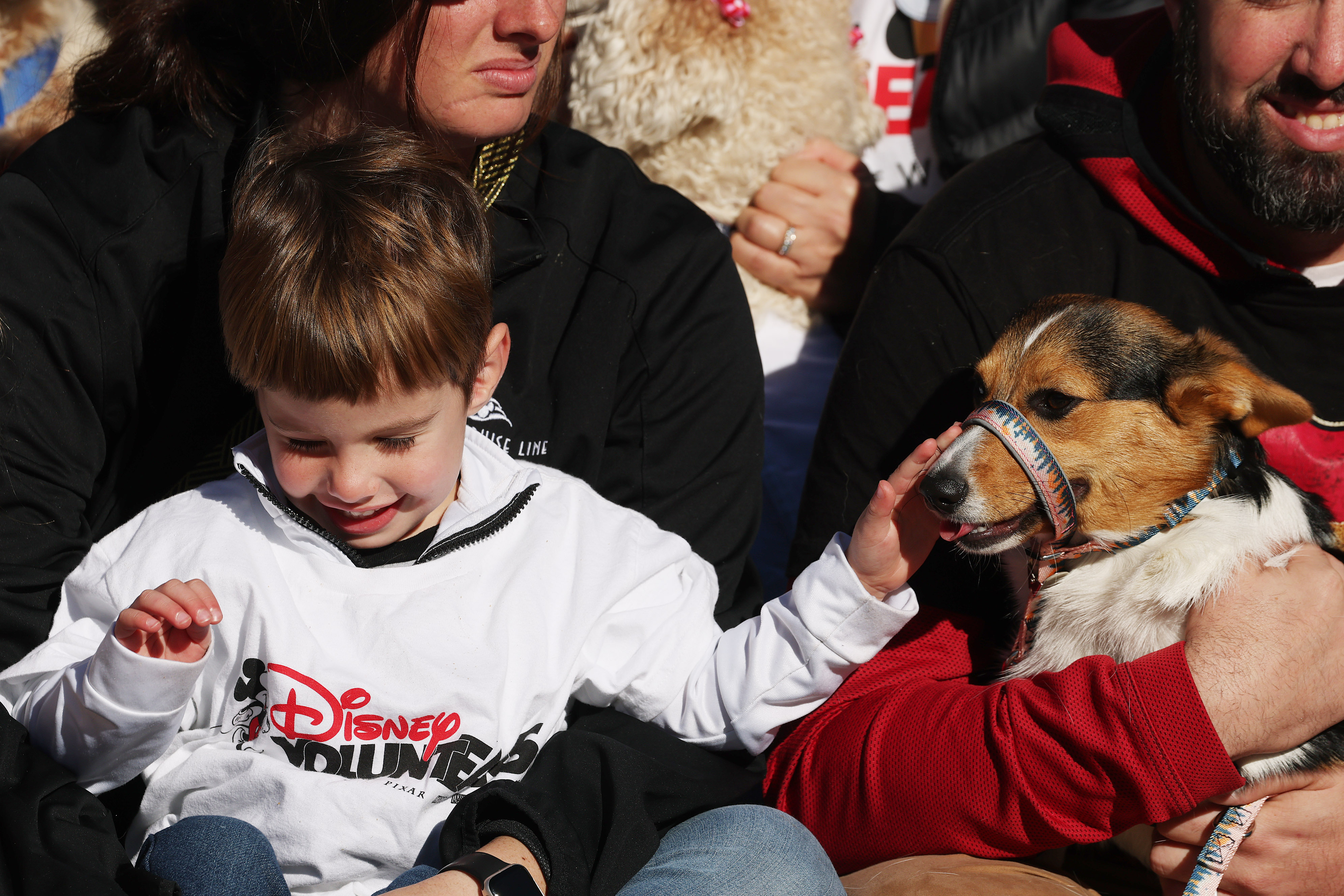 A young boy enjoys the Paws in the Park pet...