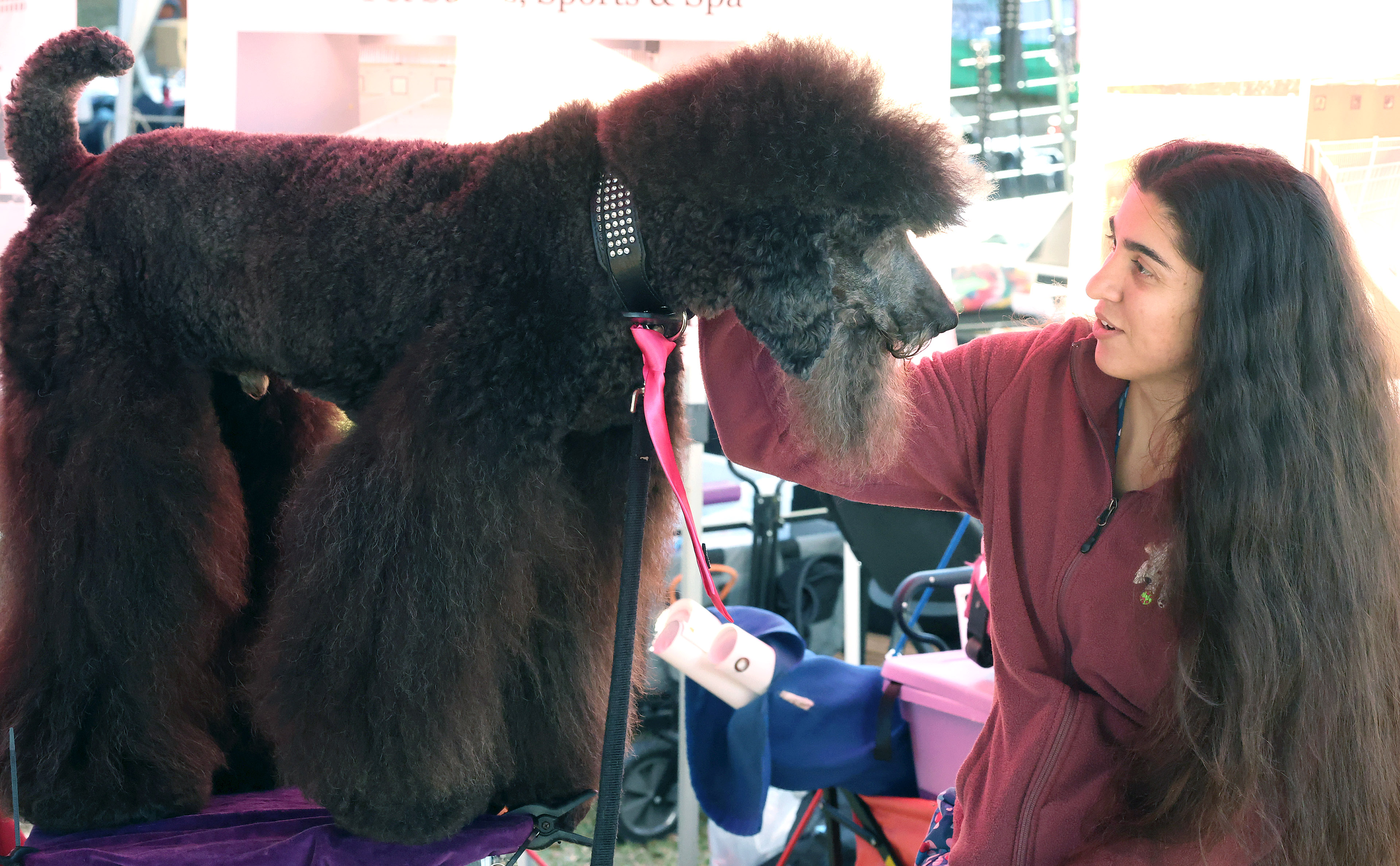 Nicole Negron pampers her dog Heineken during the Paws in...