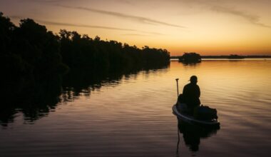 Stop Tampa’s Skyway cruise port – Orlando Sentinel