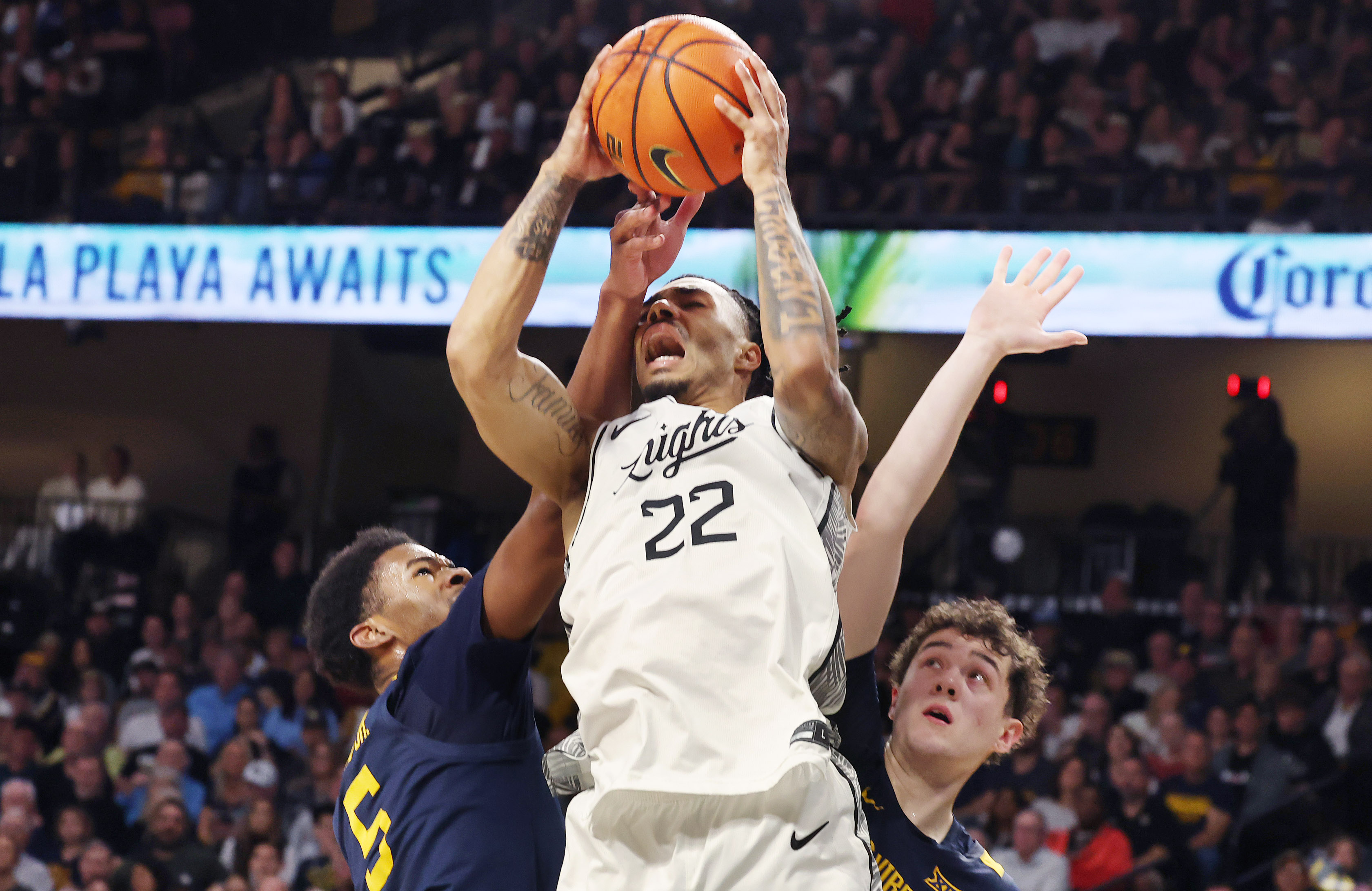UCF guard Chris Johnson (22) grabs a rebound over West...