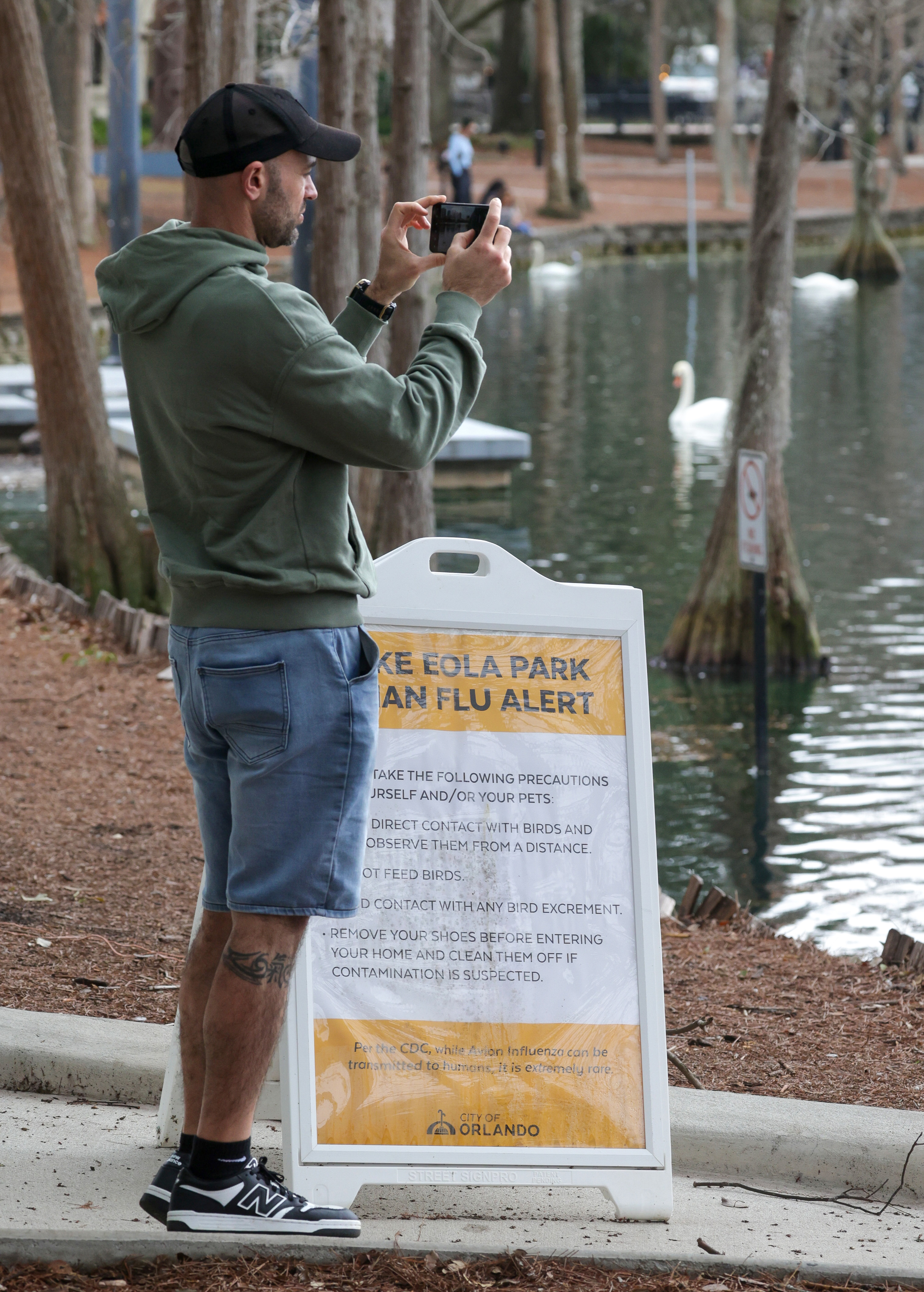 A visitor photographs the swans at Lake Eola Park, Monday,...