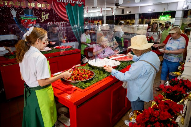 St. Clement Catholic Church offers guests the chance to make their own shortcake for $6 during the 90th Florida Strawberry Festival in Plant City on Feb. 27, 2025. (Patrick Connolly/Orlando Sentinel)