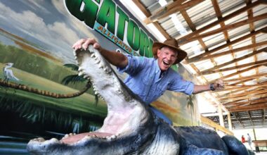 Gatorland Orlando tops list of U.S. roadside attractions