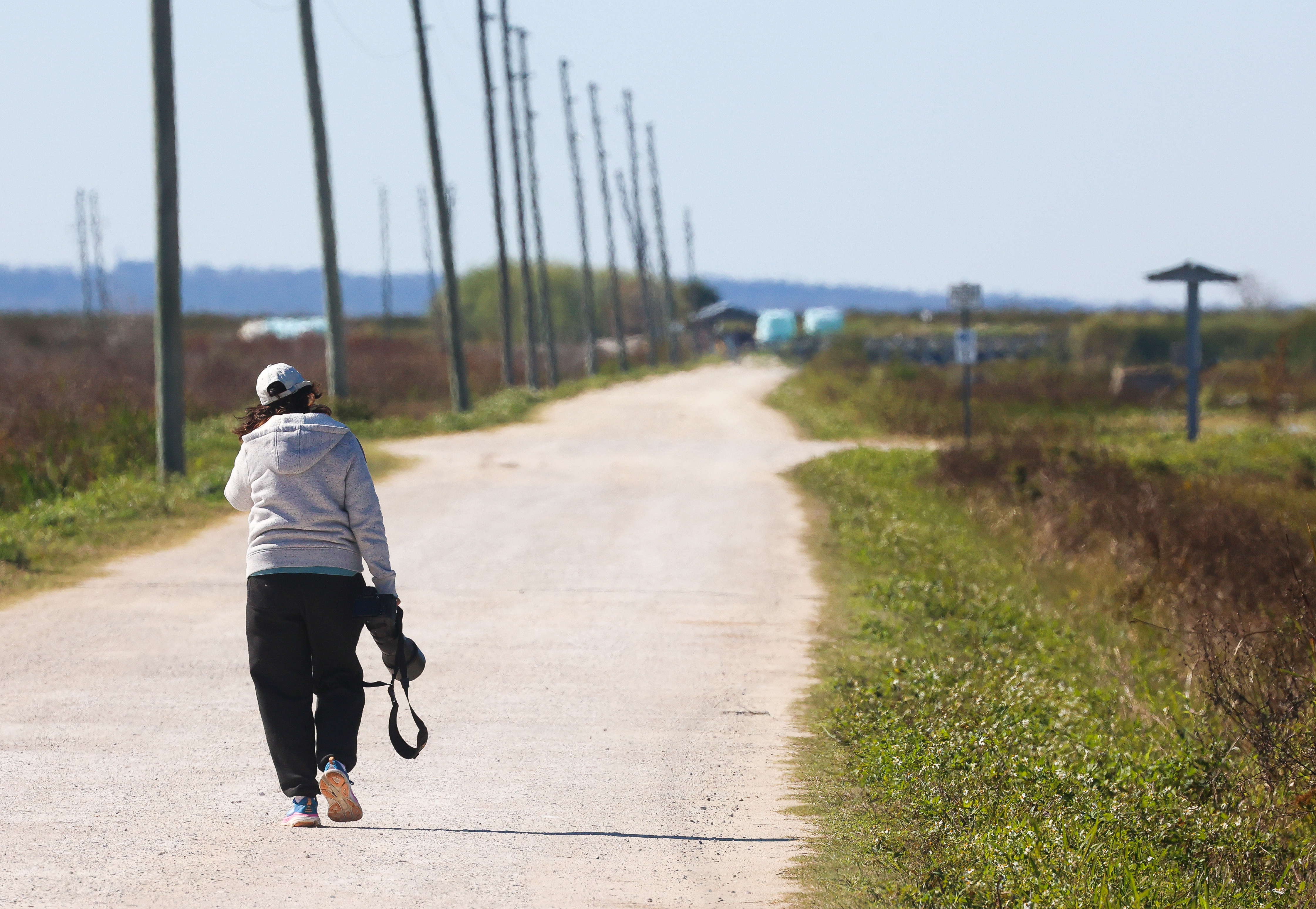 A birder hikes along the wetlands on Lake Apopka Wildlife...