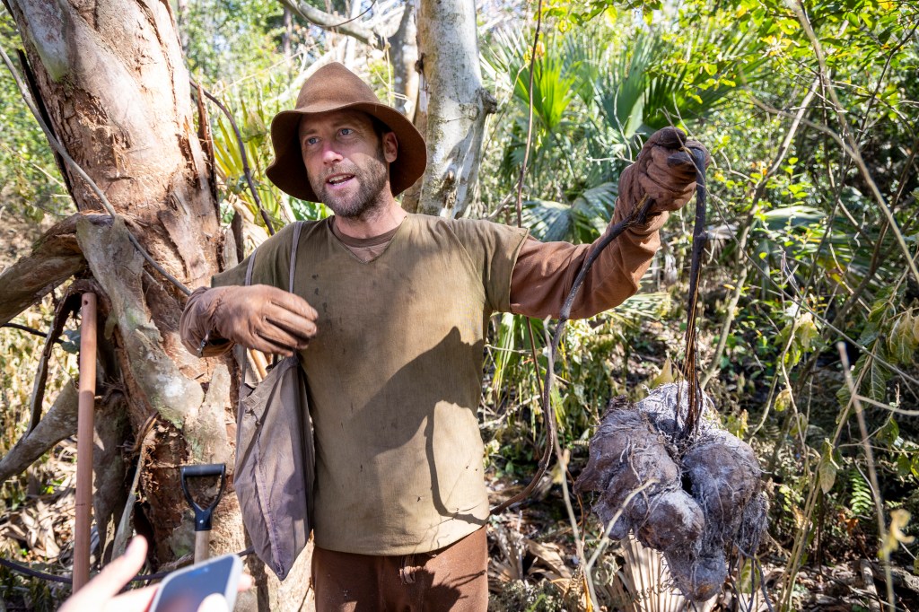 Central Florida foraging field trip yields massive wild yams