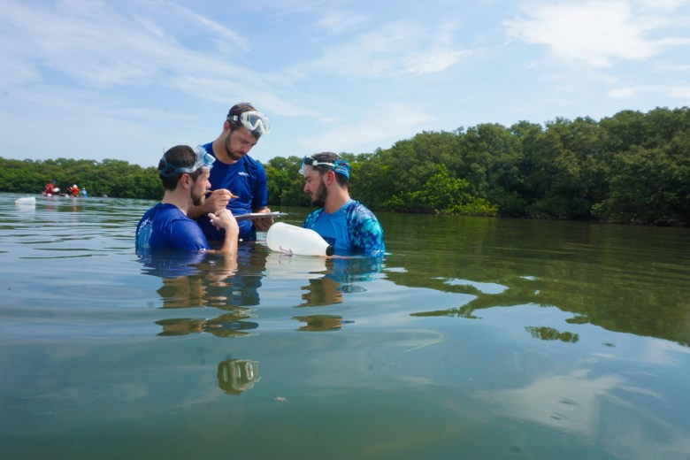 Three people are waist-deep in a calm, clear body of water during a sunny day. They are wearing dark blue long-sleeved swim shirts and have snorkeling masks resting on their heads. The individual in the center is holding a clipboard and writing with a pencil, while the person on the right holds a large, translucent white plastic collection bottle. Lush green mangroves line the shore in the background under a blue sky with light clouds.