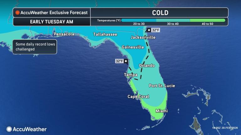 Florida faces cold blast, growing fire danger