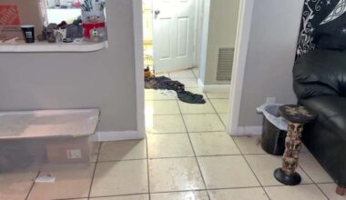 Plumbers inundated with calls over busted pipes after historic storm brought bitterly cold temps