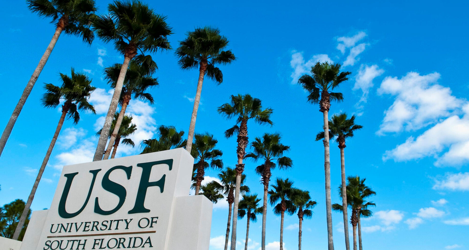 House, Senate millions apart on some USF funding