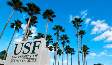 House, Senate millions apart on some USF funding