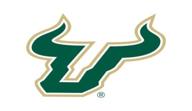 University of South Florida Bulls logo, graphic element on white.