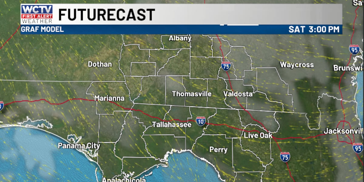 A warm Valentine’s Day ahead ⛅