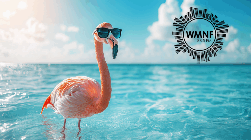 🎶 Tampa Bay weekend events guide