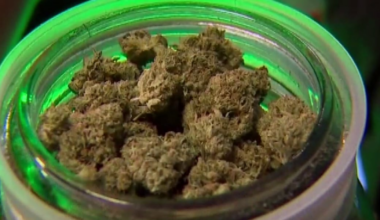 Florida recreational marijuana initiatives fail to make 2026 ballot