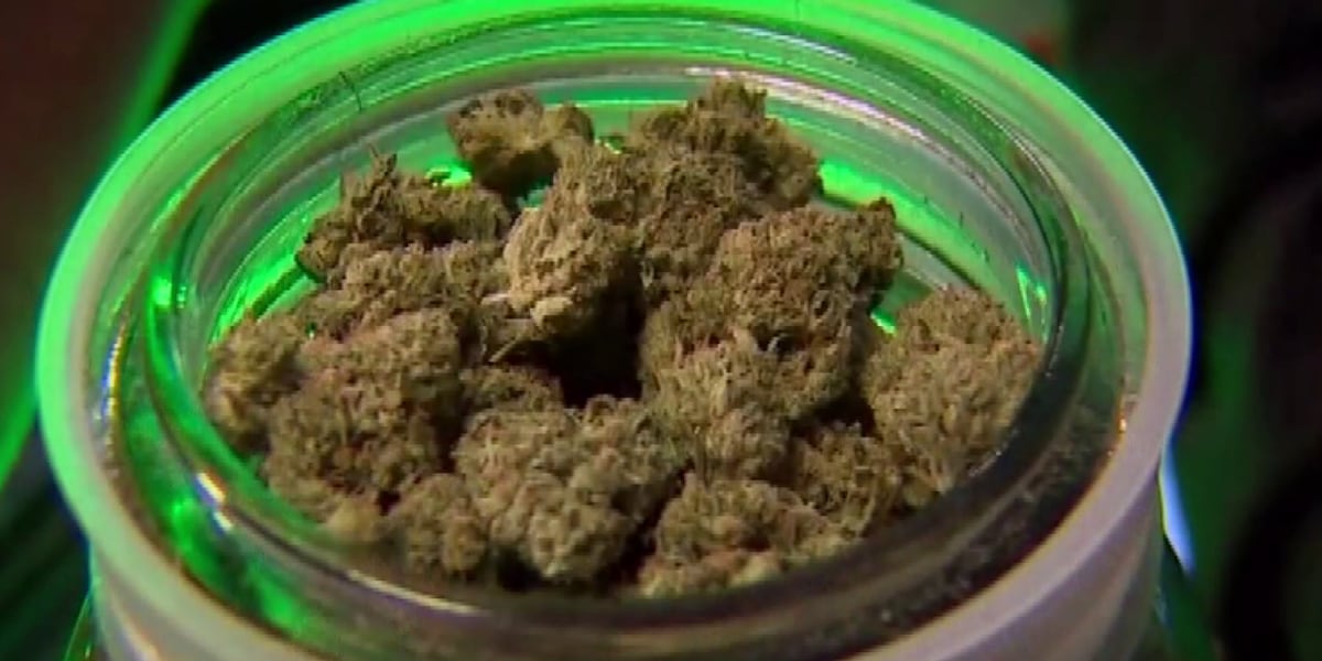 Florida recreational marijuana initiatives fail to make 2026 ballot