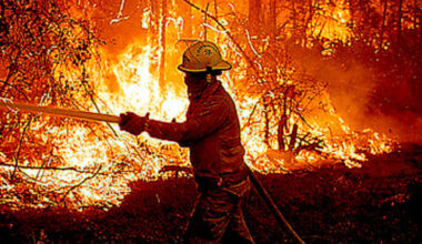 Florida’s fire risk keeps climbing. Don’t ignore it – Orlando Sentinel