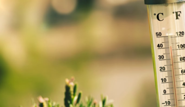 🥶 Coldest Februarys in Florida since 1895