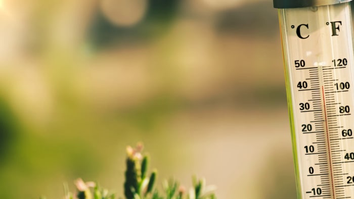 🥶 Coldest Februarys in Florida since 1895