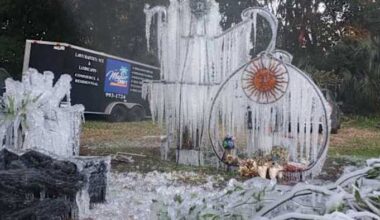 News4JAX Insiders create icy wonderlands to make best of extreme cold