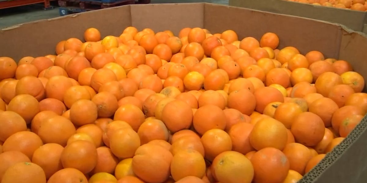 Florida House advances farm bill after committee strips non-disparagement expansion