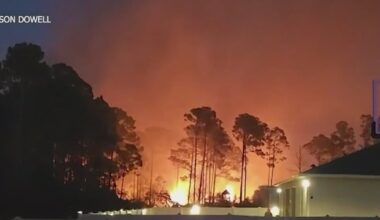 Nearly 1,000 brush fires reported statewide as Florida drought worsens