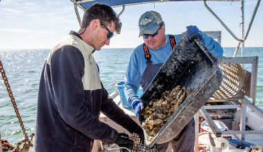 Proposed cruise port could risk lower bay environment, economy