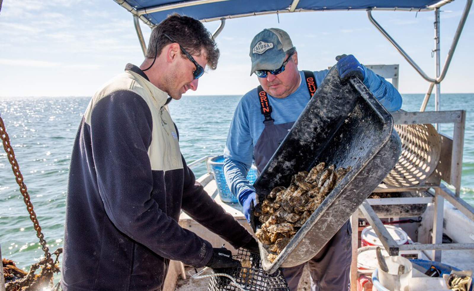 Proposed cruise port could risk lower bay environment, economy