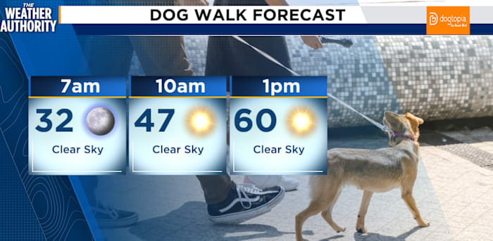 Chilly start under clear skies to kick off a warmer weekend across Northeast Florida, Southeast Georgia