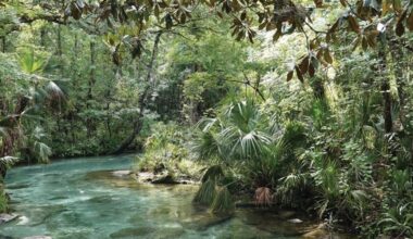 Florida State Parks offering free admission in celebration of George Washington birthday, America’s 250th