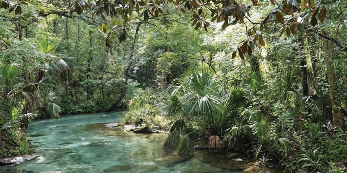 Florida State Parks offering free admission in celebration of George Washington birthday, America’s 250th