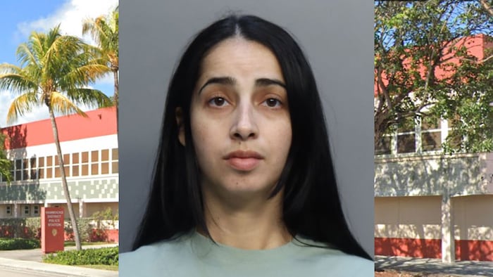 Deputies arrest 2nd Miami-Dade pet store burglary suspect
