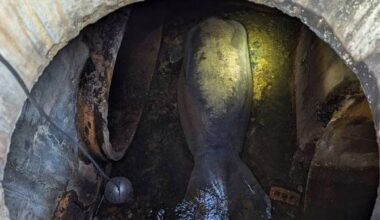 A 410-pound manatee rescued from a Florida storm drain is recovering at SeaWorld Orlando