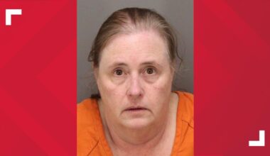 Police: Pinellas Park mother attempts to stab, kill daughter's boyfriend