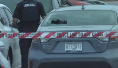 Jacksonville police responding to reported discharging of firearm at The Avenues mall