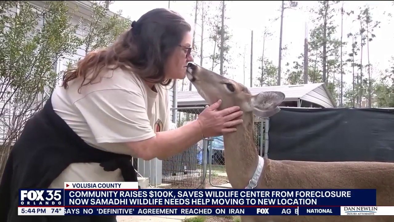 Wildlife rescue in Volusia County faces uncertainty after foreclosure