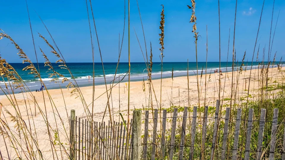 Snow fence in sand dunes on the Atlantic Ocean beach in Washington Oaks Gardens State Park in Palm Coast Florida USA