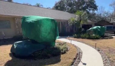 Central Florida prepares plants for second icy blast