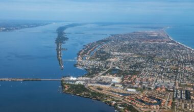 Runner Dies After Being Hit By a Driver During Florida Half Marathon