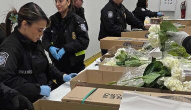 Valentine flower imports increase at Miami airport, despite tariffs and higher costs, officials say