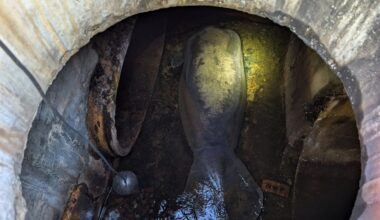 A 410-pound manatee rescued from a Florida storm drain is recovering a...